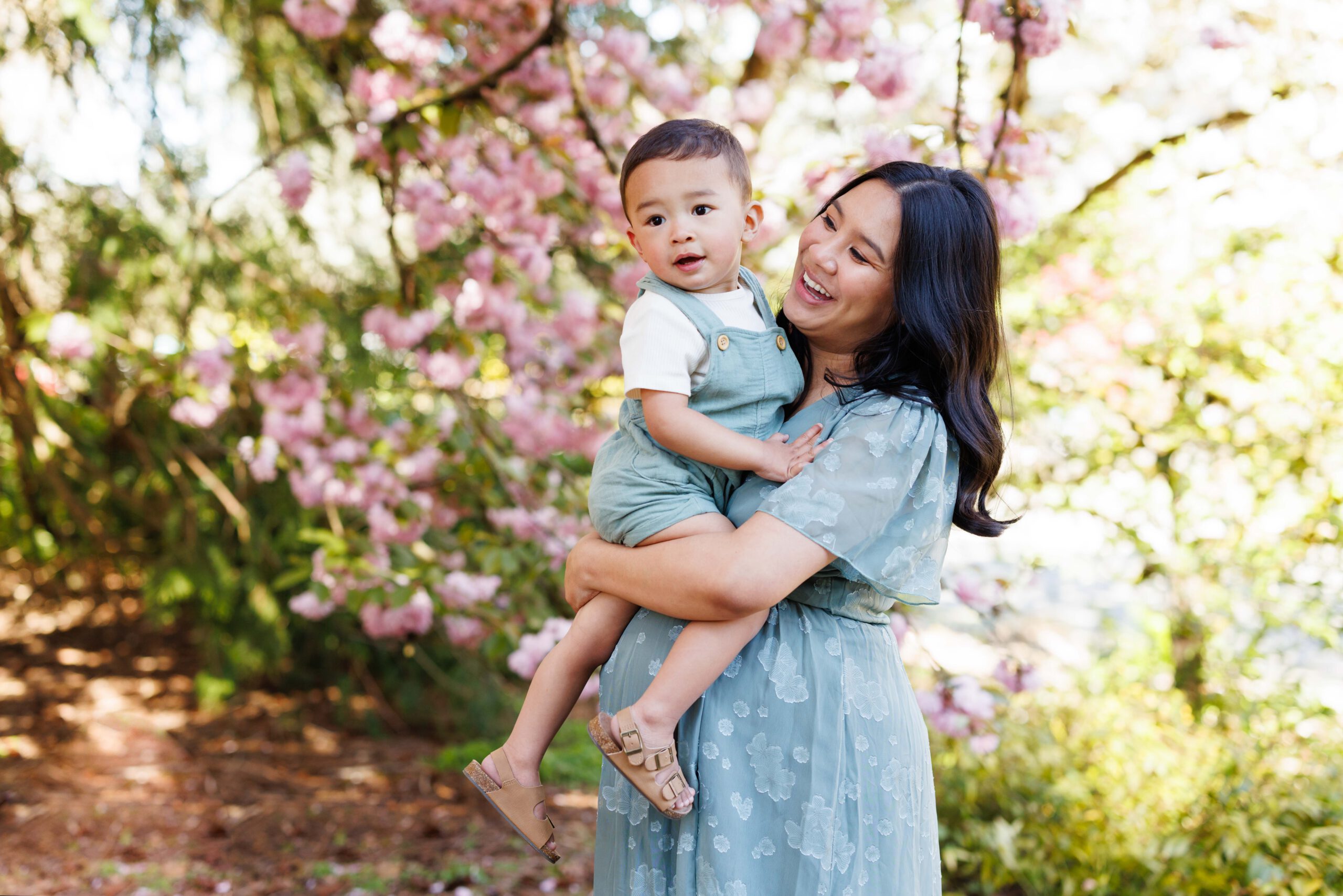 Cherry Blossom Minis Seattle Family Photographer